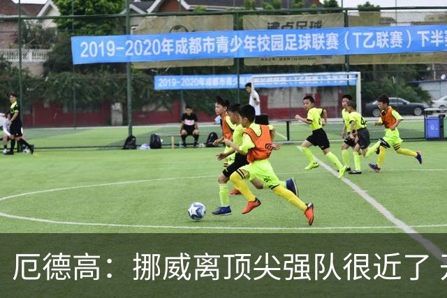 厄德高：挪威离顶尖强队很近了 开赛前说我们能到8强我绝不会相信